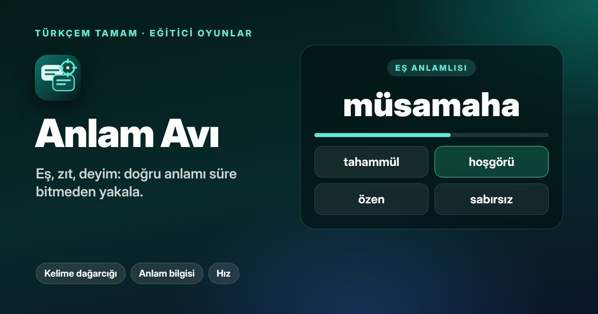 Anlam Avı oyunu kapak görseli